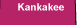 Take this link to the Kankakee Community College CTE website.