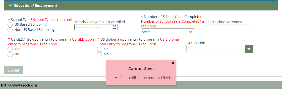 Bottom of Add Student page with error message that reads, "Cannot Save/Please fill all the required fields"